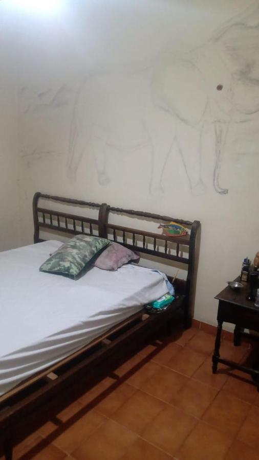 غوارويا Hostel Elephant Del Mar المظهر الخارجي الصورة