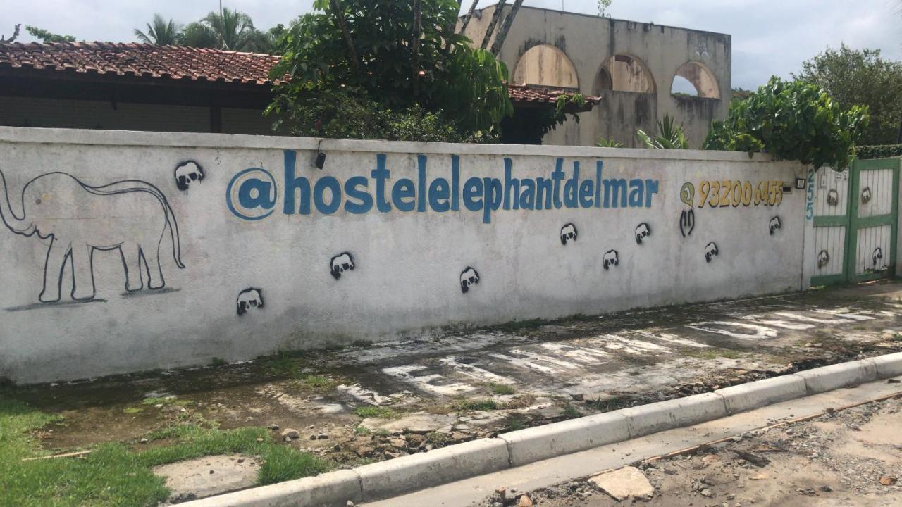 غوارويا Hostel Elephant Del Mar المظهر الخارجي الصورة